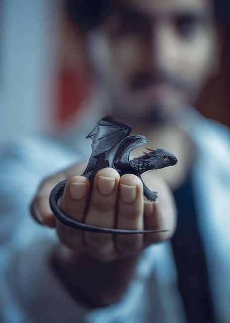 dragon, hand, hands, gnome, reptile